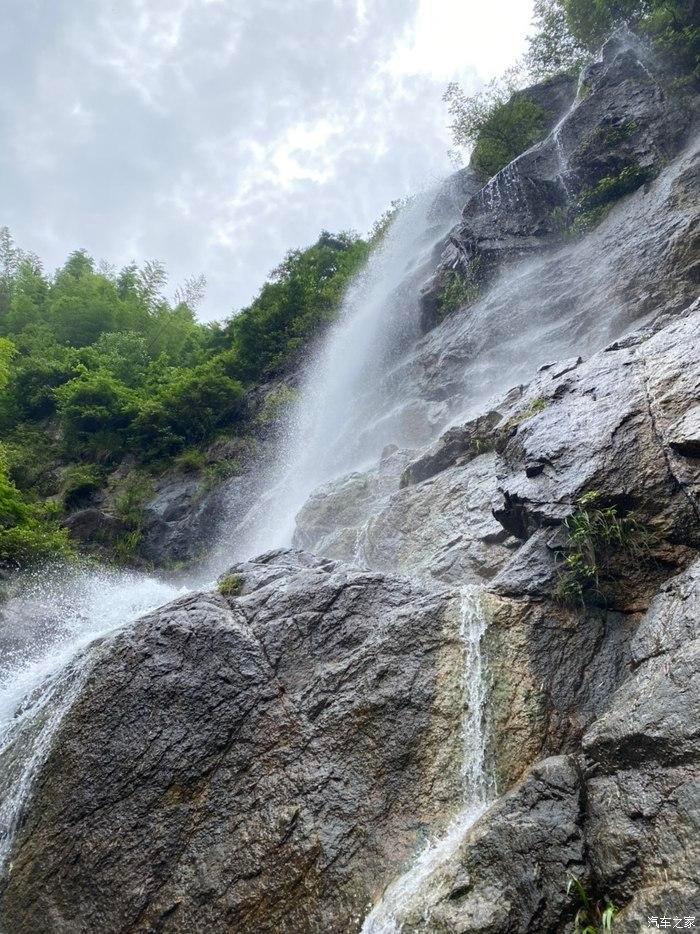 逃离仿真森林